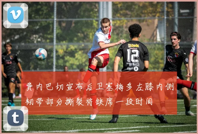 费内巴切宣布后卫塞梅多左膝内侧韧带部分撕裂将缺席一段时间