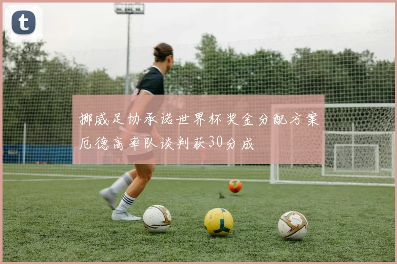 挪威足协承诺世界杯奖金分配方案厄德高率队谈判获30分成