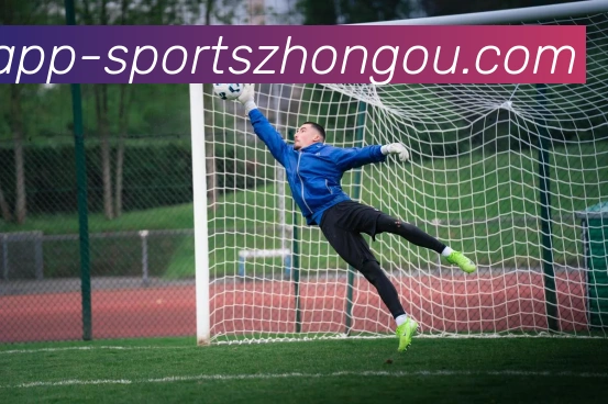 中欧体育全站App